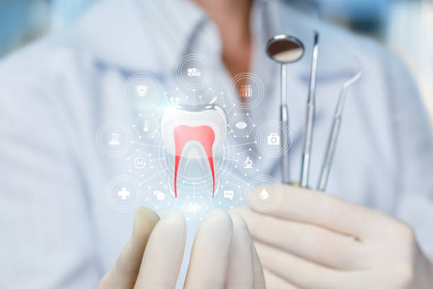 Reliable New Baltimore, MI  Holistic Dental Services Solutions